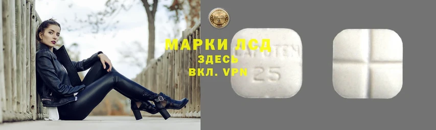 Лсд 25 экстази ecstasy  где можно купить   Электрогорск 